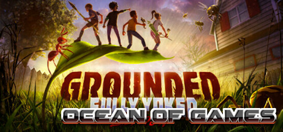 Grounded Ocean of Games